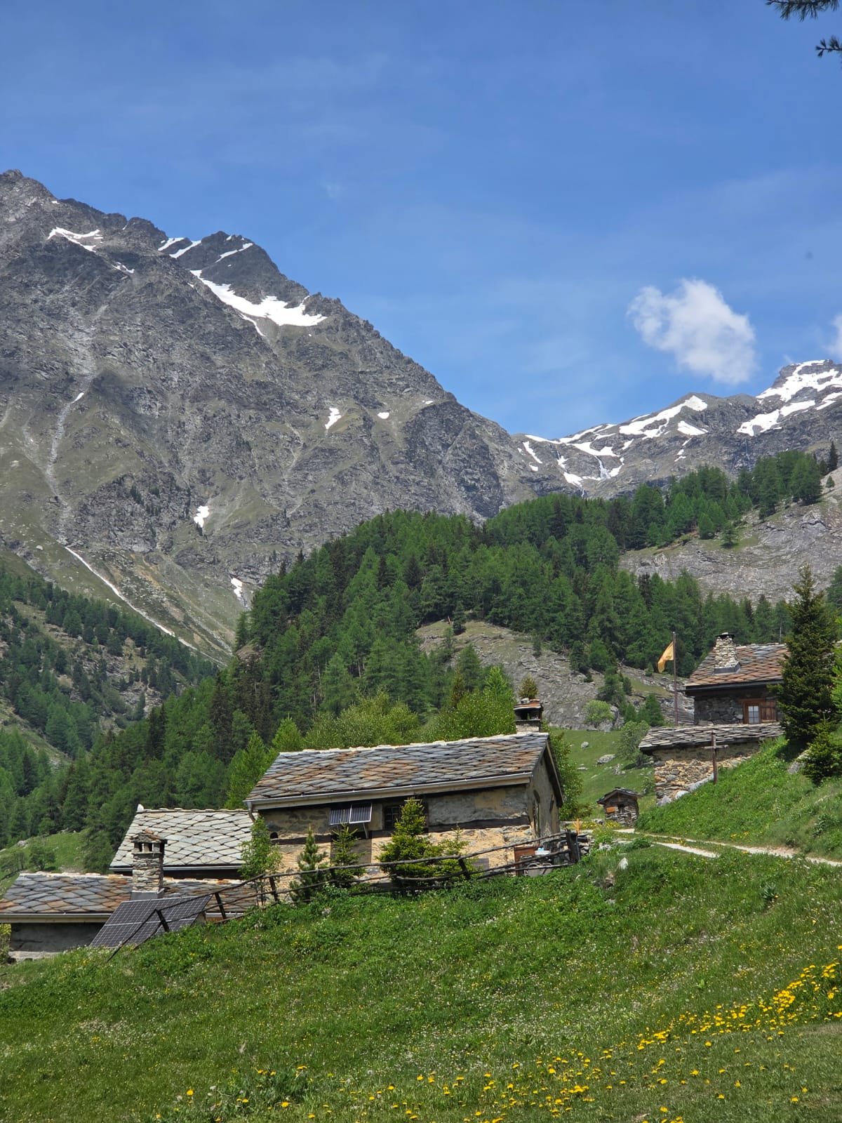 La Norma