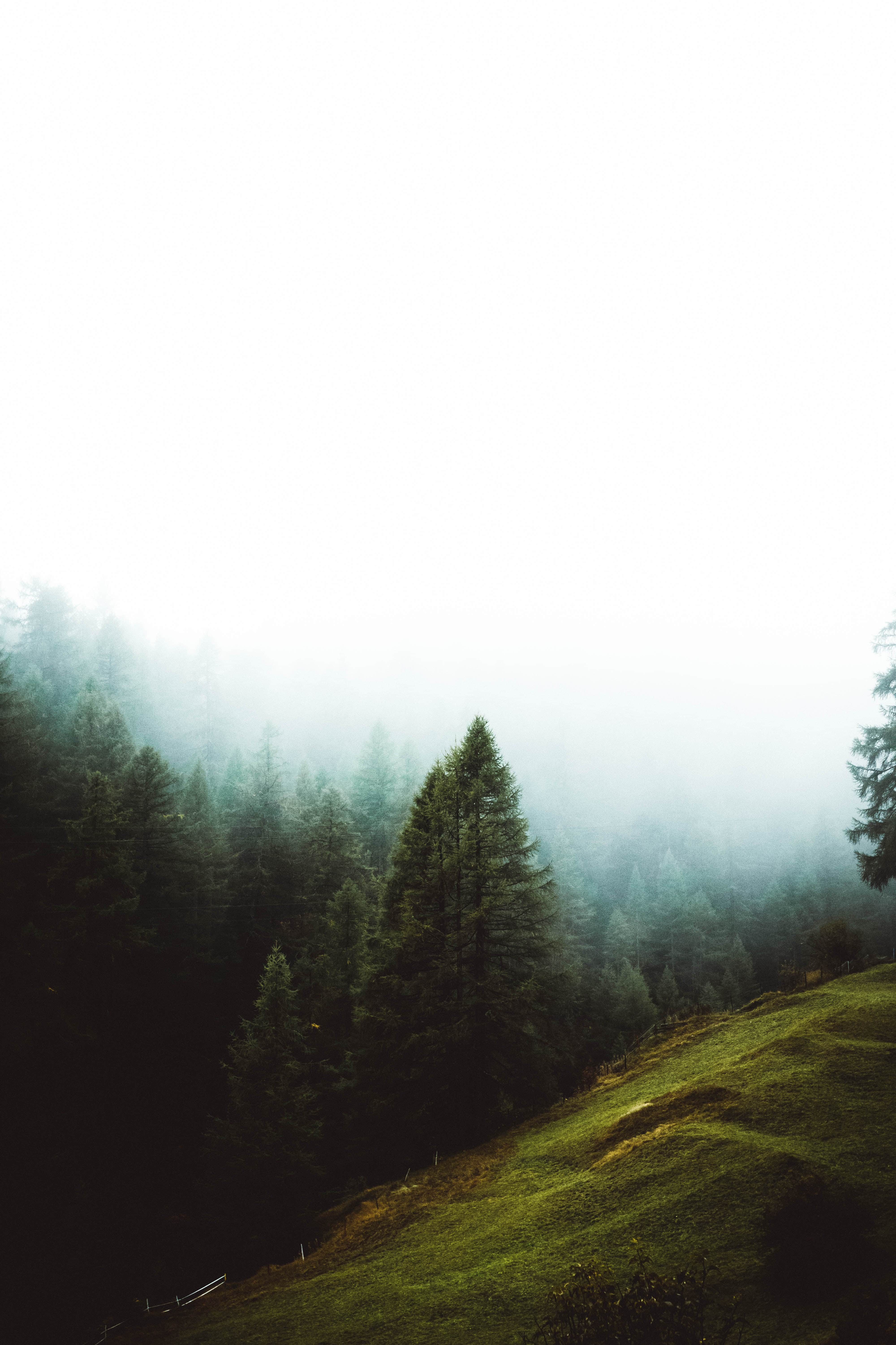 Alles is energie: wat kwantumfysica en spiritualiteit ons leren over ondernemen